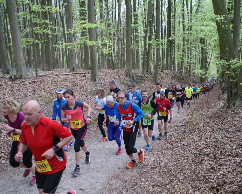 Hyacintenjogging 2016 - 114